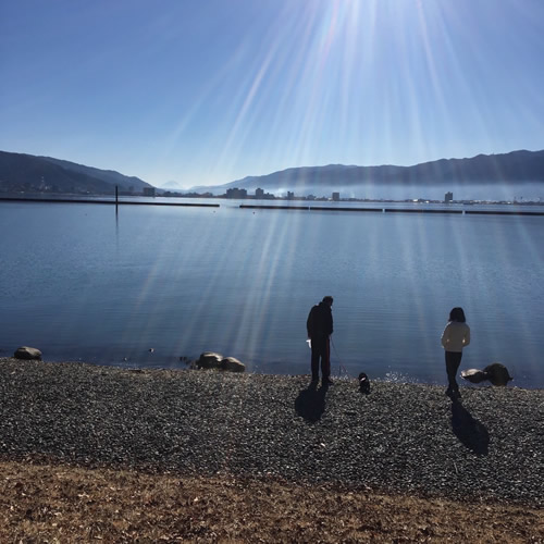 山本5