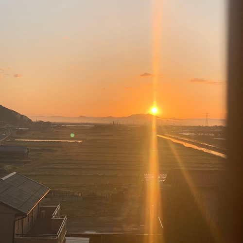 山本9